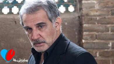 بیوگرافی مهدی هاشمی