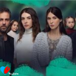 چه کشتی‌هایی را سوزاندم